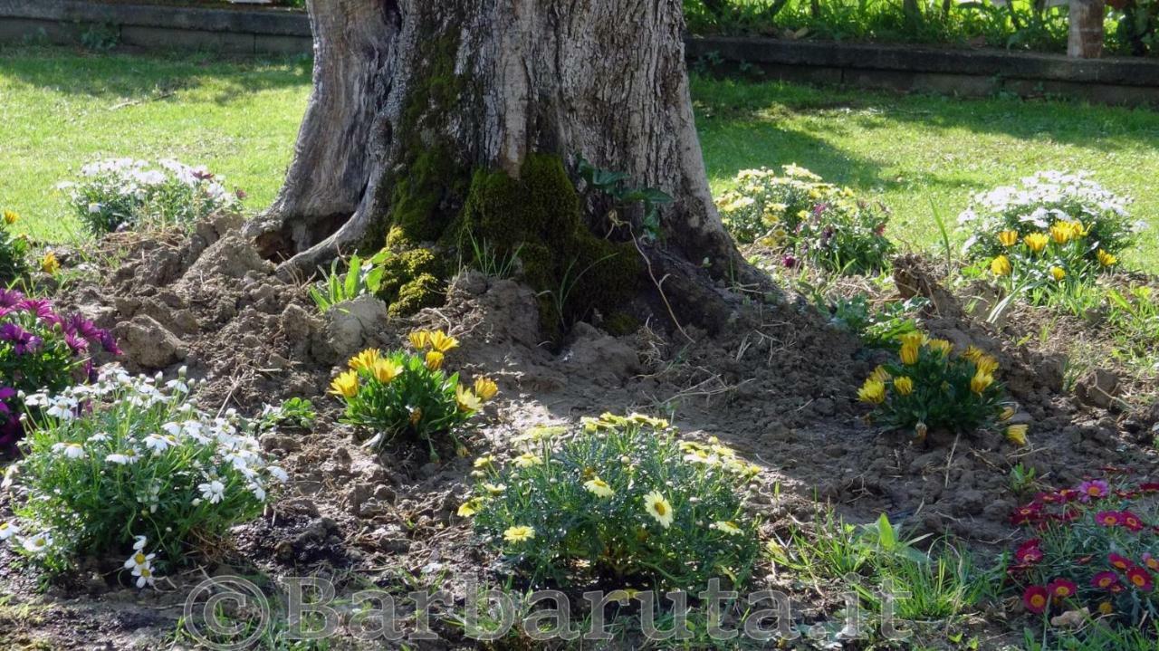 Appartamento Barbaruta Rta Grosseto Esterno foto